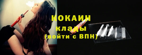 тгк Арсеньев