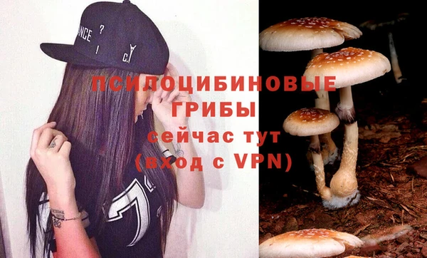 тгк Арсеньев