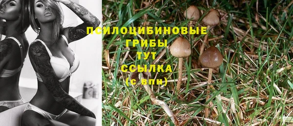 2c-b Алексеевка