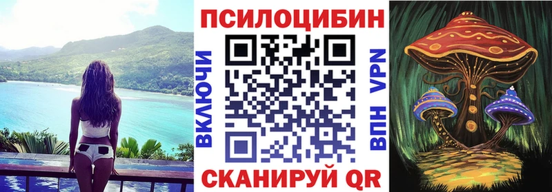 купить наркотик  ОМГ ОМГ ТОР  Псилоцибиновые грибы ЛСД  Унеча 